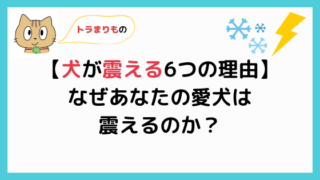 犬が何となく元気がない 見るべき5つのポイントと対処法を解説