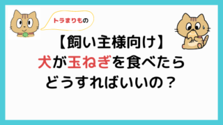 犬がダイエットできる野菜7選 簡単にできる方法も解説 レシピあり