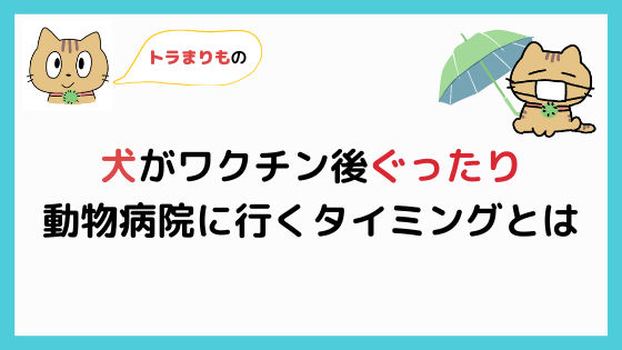 犬がワクチン後ぐったり ワクチンの副作用とは