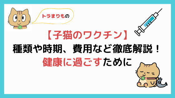 猫のワクチンの副作用 緊急時の見極めポイントを解説