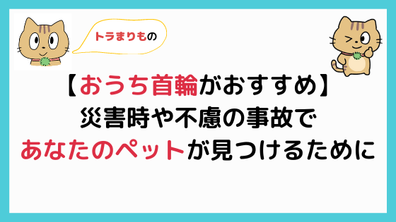 おうち首輪】ペットの迷子札はこれがおすすめ！災害時にも便利