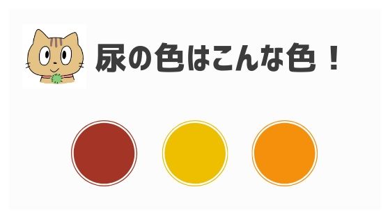 犬の尿の色が変な理由 7つの色別に解説 健康な尿色とは