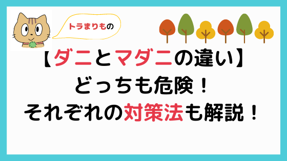 ダニとマダニの違い分かりますか それぞれの予防法も解説