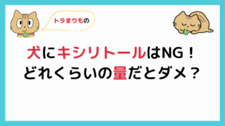 犬がタバコをかじったときの具体的な対処法を解説