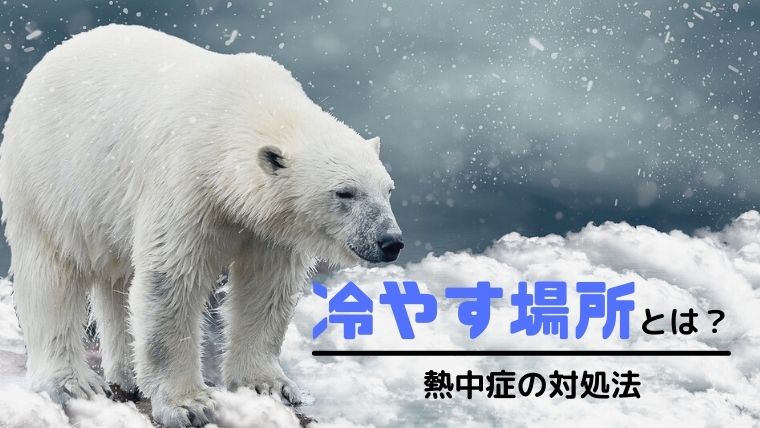 犬と猫の熱中症 冷やす場所はどこ 熱中症の対処法を獣医師が解説