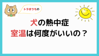 犬は一泊留守番できる 長時間の留守番の対策ポイントを解説