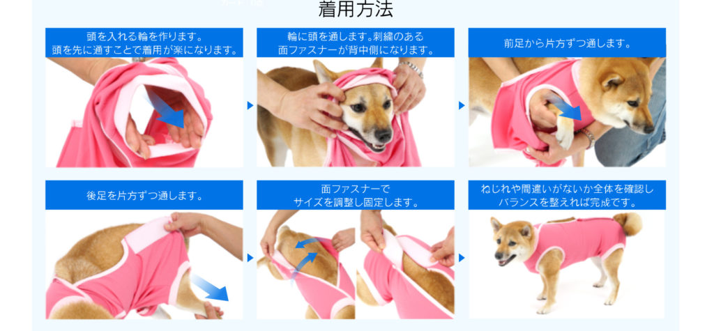 犬の手術後の服 エリザベスウエア がおすすめな５つの理由