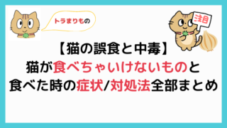 トラまりもの猫の誤食と中毒猫が食べちゃいけないものと食べた時の症状対処法全部まとめ