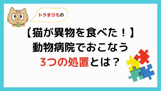 トラまりもの猫が異物を食べた！動物病院でおこなう3つの処置とは？