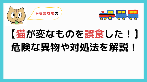 猫が異物を食べた 危険な異物や対処法を徹底解説