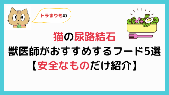 猫の尿路結石】おすすめフード5選【安全な食事のみ紹介！】