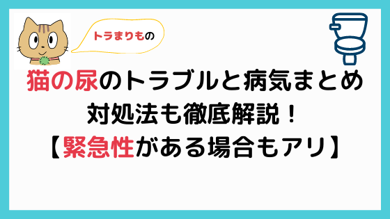 トラまりもの猫の尿のトラブルと病気まとめ　対処法も徹底解説！【緊急性がある場合もアリ】