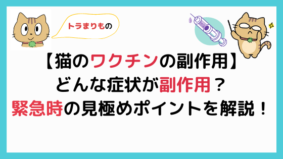 猫のワクチンの副作用 緊急時の見極めポイントを解説