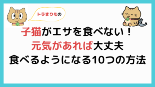 猫がエサを食べないときの6つの理由と対処法を徹底解説