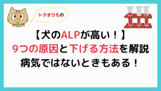 【必読】犬のALPが高い9つの理由と下げる方法を獣医師が解説！