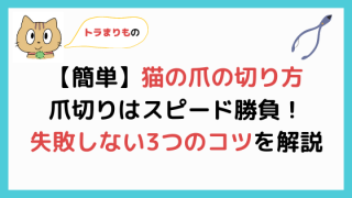 猫の肛門腺絞り 絞らないと破裂する 肛門腺絞りの頻度とは まりも動物病院