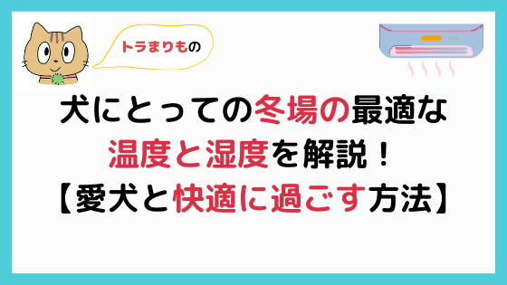 犬にとっての冬の最適な室温 湿度とは 愛犬と快適に過ごす