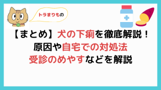 子犬の便からそうめんみたいな白い虫が出たときの原因と対処法