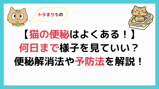 猫の便に透明な粘液が 血が付くこともある大腸炎を獣医師が解説