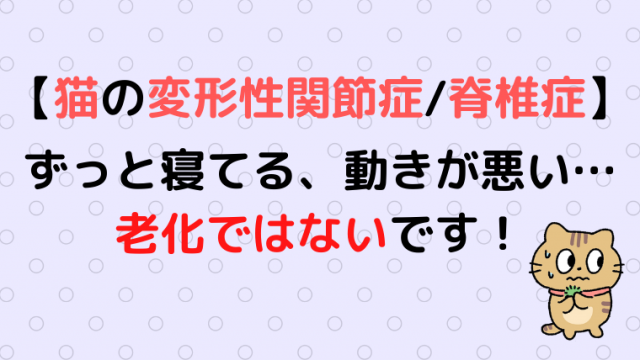 猫の変形性関節症 脊椎症 老猫は注意 痛みを伴う関節炎