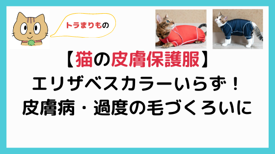 猫のエリザベスカラー ストレス軽減できる3つの方法 嫌がる愛猫のために