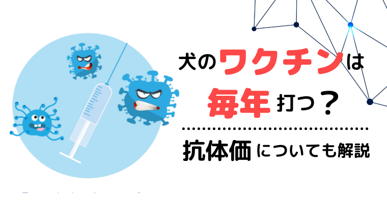 犬のワクチンは毎年打つ 6種や10種は何種がいい その違いや抗体価も解説