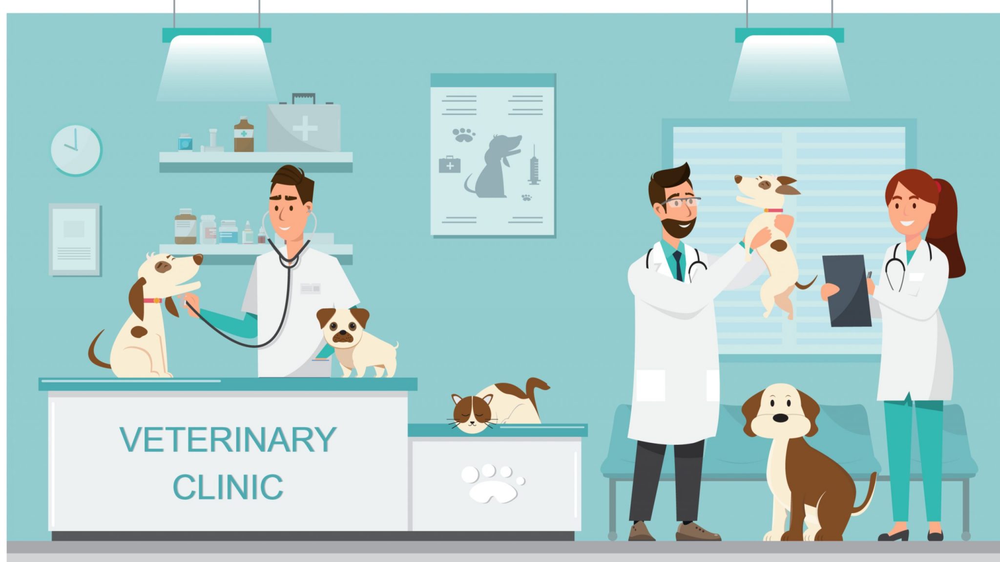 【猫の急性/慢性膵炎】原因や症状、治療法や予後などを獣医師が解説！