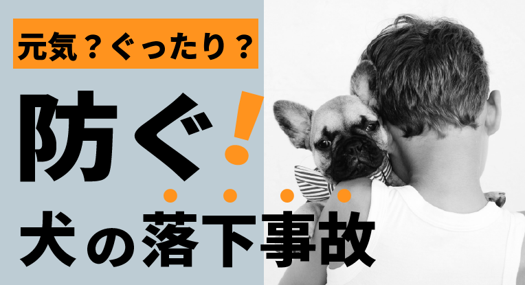 犬の落下事故 犬を落としてしまったときの対処法 元気 ぐったり