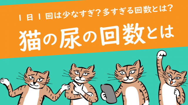 猫が急に粗相するようになった 5つの原因と対策法を徹底解説