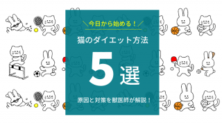 猫の尿の色がいつもと違う理由【7つの色別に原因を解説！】