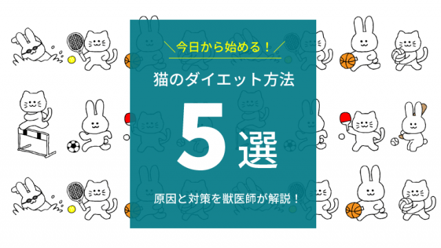 猫の糖尿病まとめ 症状や治療法など獣医師が分かりやすく解説