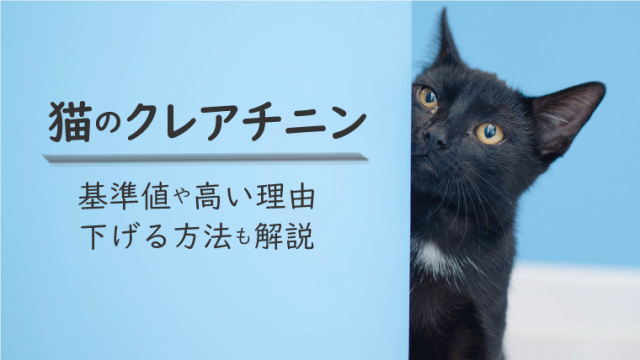 猫がよく水を飲む】多飲多尿の5つの原因とは？ストレスや病気の可能性大！