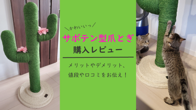 猫のかわいい爪とぎならサボテンがおすすめ 口コミや購入レビュー