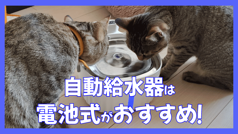 猫の自動給水器は電池式 コードレス がおすすめ メリットや感想をお伝え